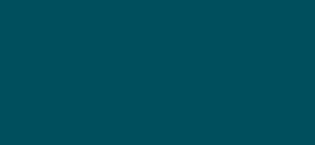 custom-alt-
